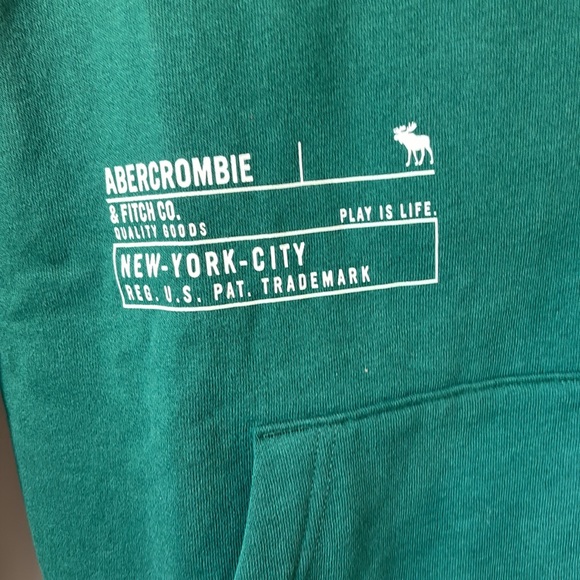 NWT Abercombie Kids hoodie in size 11/12 Green w/kangaroo pocket - Picture 4 of 6